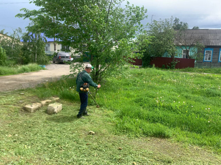 Покос травы. Покос травы.